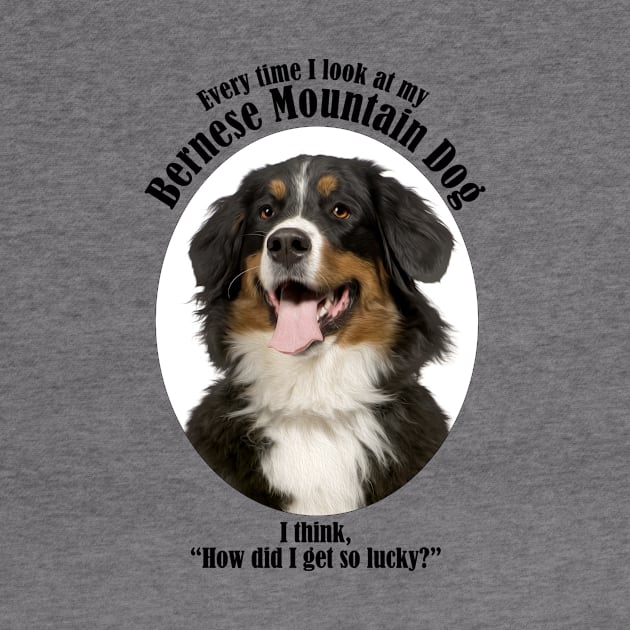 Lucky Bernese Mountain Dog by You Had Me At Woof